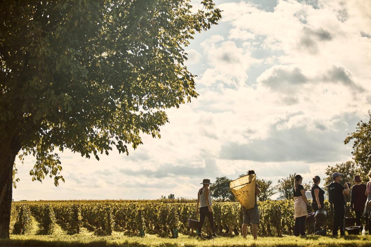 Como Le Montrachet 풀리그니몽트라솃 외부 사진