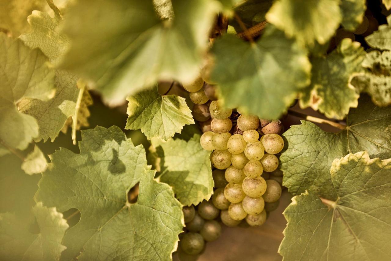 Como Le Montrachet 풀리그니몽트라솃 외부 사진